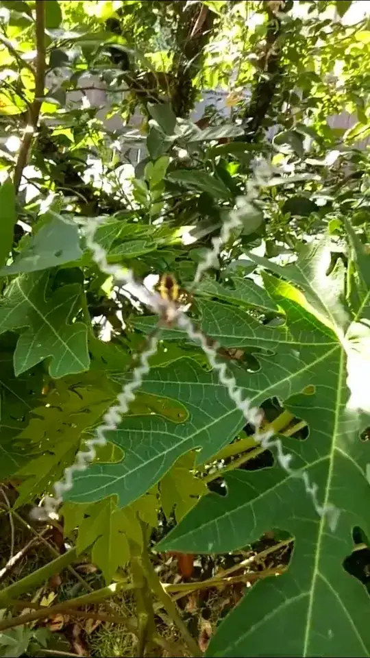 System Administration - Portfolio