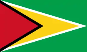 Flag of Guyana