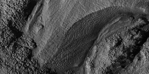 Close-up of gully alcove showing "gullygons" (polygonal patterned ground near gullies), as seen by HiRISE under HiWish program  Note this is an enlargement of a previous image.