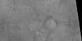 Ring of boulders around rim of old crater with dust devil tracks in the background, as seen by HiRISE under HiWish program