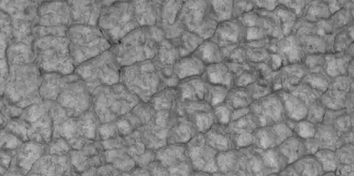 Close-up of high center polygons seen by HiRISE under HiWish program. Troughs between polygons are easily visible in this view.  Location is Ismenius Lacus quadrangle.