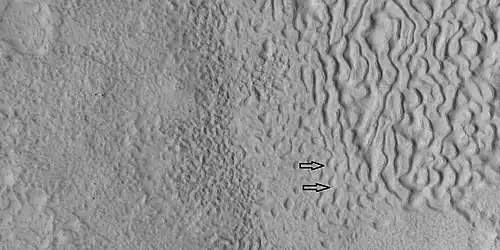 Brain terrain being formed, as seen by HiRISE under HiWish program. Note: this is an enlargement of a previous image using HiView.  Arrows indicate spots where brain terrain is beginning to form.