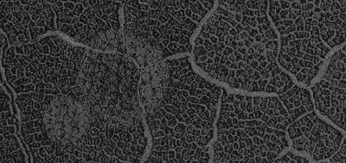 Close view of polygons with frost in the low parts, as seen by HiRISE under the HiWish program.  Circular shapes are also visible.