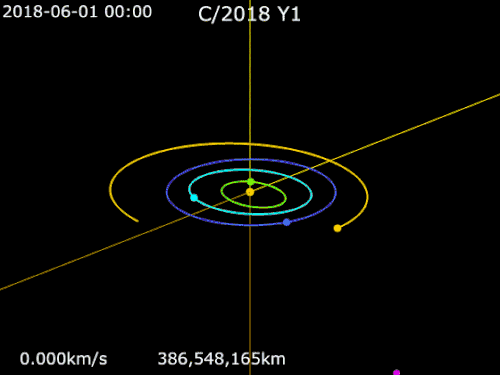 Animation of C/2018 Y1 orbit&nbsp;&nbsp; Mercury&nbsp;· &nbsp;&nbsp; Venus&nbsp;· &nbsp;&nbsp;Earth&nbsp;· &nbsp;&nbsp;Mars&nbsp;· &nbsp;&nbsp; C/2018 Y1