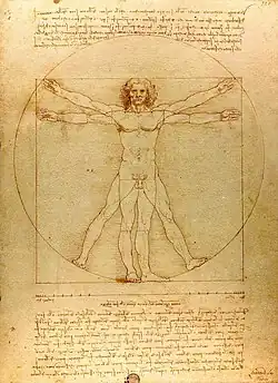 The Vitruvian Man (c. 1485) Accademia, Venice