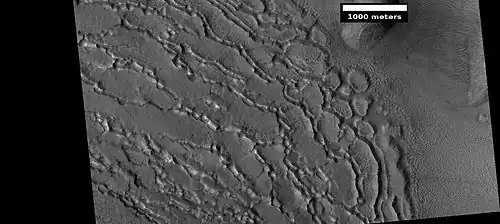 Well developed ribbed upper plains material.  These start with small cracks that expand as ice sublimates from the surfaces of the crack.  Picture was taken with HiRISE under HiWish program.