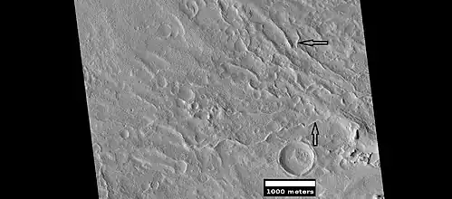 Inverted stream channels on crater slope, as seen by HiRISE under HiWish program