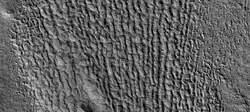 Close view of lineated valley fill (LVF)  The image is about 1 km wide.