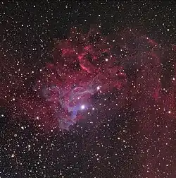 White light image of the Flaming Star Nebula showing the "smoke" of the reflection nebula.
