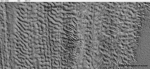 Open and closed-cell brain terrain, as seen by HiRISE, under HiWish program.