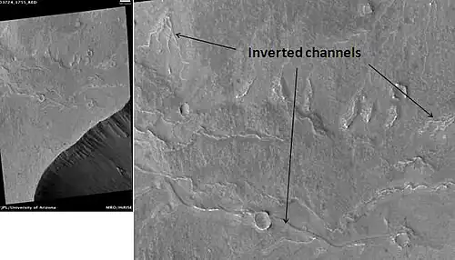 Inverted Channels near Juventae Chasma. Channels were once regular stream channels. Scale bar is 500 meters long. Location is Coprates quadrangle.