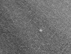 Polygonial patterned ground in the interior of Lomonosov, as seen by Mars Global Surveyor.