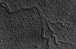 Channels in Lyot as seen by HiRISE