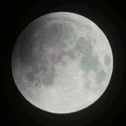 Animation from Madrid, Spain