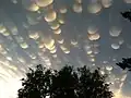Mammatus Clouds over Saskatchewan (October 23, 2012; October 18, 2015)