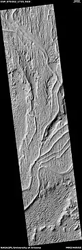 Inverted channels in Aleolis Planum  Inverted channels may have formed when the area was buried and then later eroded.  The former channels then appear above the surface because they are more resistant to erosion.  Perhaps they accumulated larger rocks then the surroundings.