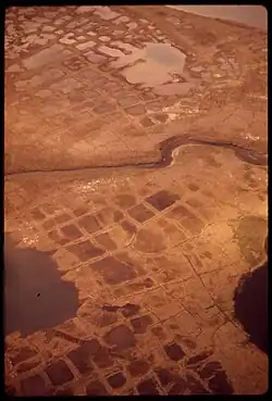 Patterned ground in Alaska.  The center is lower; hence full of water.  This scene is like low-center polygons on Mars—but with water.