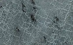 Spiderlike terrain on Mars