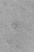 Patterned ground was once called fingerprint terrain because it looked like giant fingerprints. The dark dots are actually chains of low mounds.  The center circular feature is a ring of dark boulders on the rim of a buried crater.  Picture from Mars Global Surveyor.
