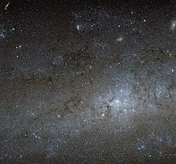 Center of NGC 247 imaged by the Hubble Space Telescope.