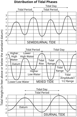 Three graphs. The first shows the twice-daily rising and falling tide pattern with nearly regular high and low elevations. The second shows the much more variable high and low tides that form a "mixed tide". The third shows the day-long period of a diurnal tide.