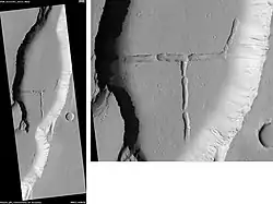 Tractus Catena Floor, as seen by HiRISE.  Scale bar is 500&nbsp;m (1,600&nbsp;ft) long.