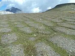 Patterned ground on Earth.