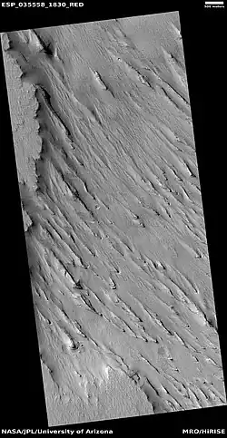 Yardangs, as seen by HiRISE under HiWish program. Location is near Gordii Dorsum in the Amazonis quadrangle.  These yardangs are in the upper member of the Medusae Fossae Formation.