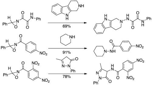 Select acyl transfer reactions of oxaziridine