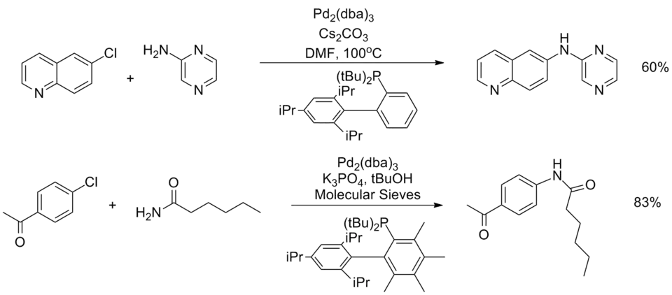 Heteoaryl and amide substrates in the Buchwald–Hartwig amination