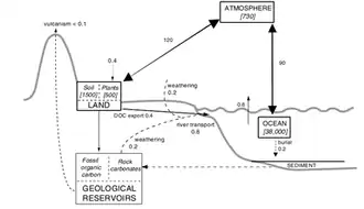Carbon reservoirs and flows