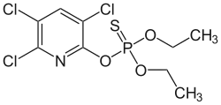 Chlorpyrifos, a common insecticide