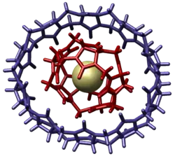 Host–guest complex within another host (cucurbituril)