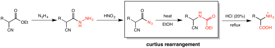 Scheme of the Darapsky amino acid synthesis