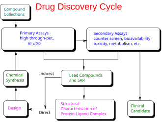 Drug discovery cycle schematic