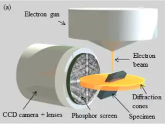 Pictorial diagram showing the major components of a field emission gun scanning electron microscope.  The electron gun is at the top.  Below the gun is a disk of diffraction cones in which the specimen is embedded at an oblique angle.  To the left of the sample is a CCD camera assembly, including lenses and a phosphor screen.  The electron beam emerges from the gun, impinging on the side of the sample facing the camera.