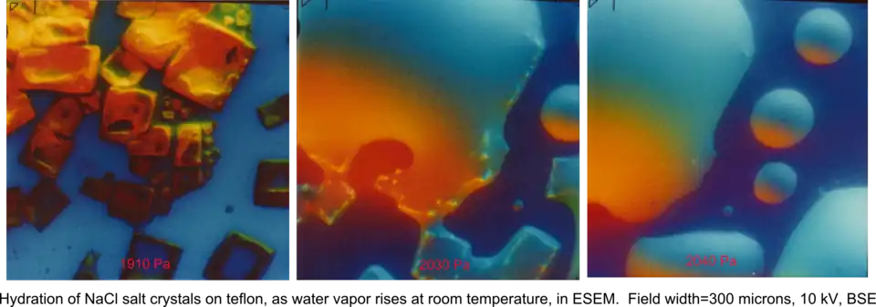 Hydration of NaCl crystals on Teflon, as water vapor pressure rises, at room temperature, in an ESEM by the use of two symmetrical plastic scintillating backscattered electron detectors. Field width 300&nbsp;μm, 10 kV