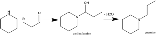 Enamine synthesis with a carbinolamine intermediate.