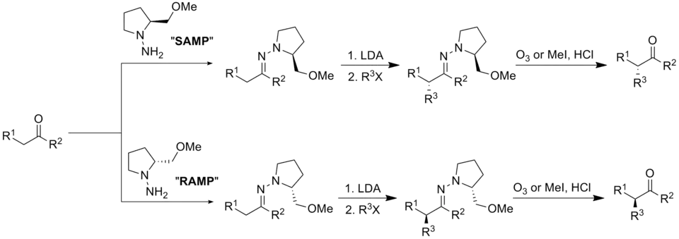Enders' SAMP/RAMP Hydrazone Alkylation Reaction