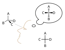 Construction of the Fischer projection