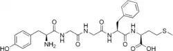 Chemical structure of Met-enkephalin.