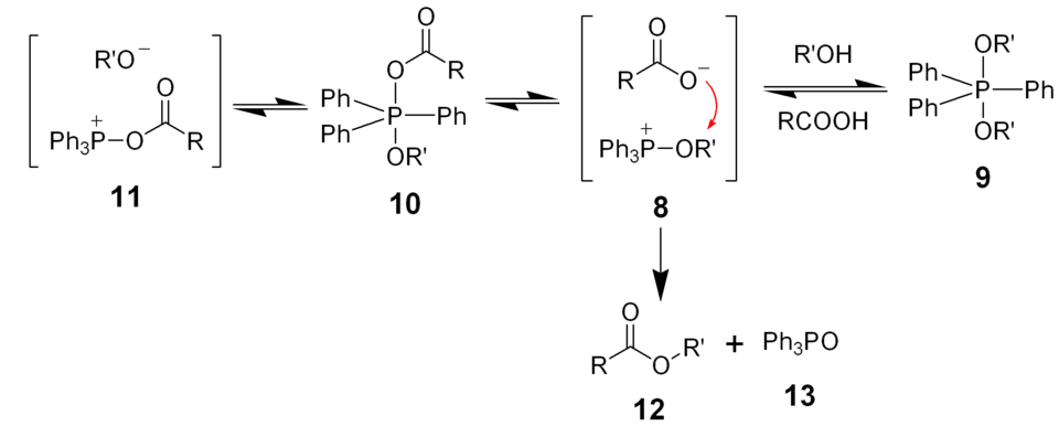 The latter stages of the mechanism proposed for the Mitsunobu reaction.