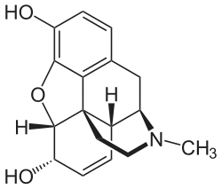Chemical structure of morphine.