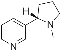 Molecular structure of nicotine