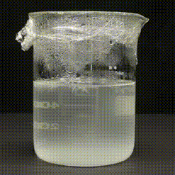 White, needle-like crystals bloom in a beaker placed against a black background from a cooling solution of water. Plastic wrap covers the top of the beaker, dotted with condensed water.