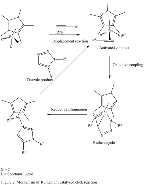 Mechanism for ruthenium-catalysed click chemistry