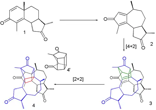 Santonin Photochemical reaction.