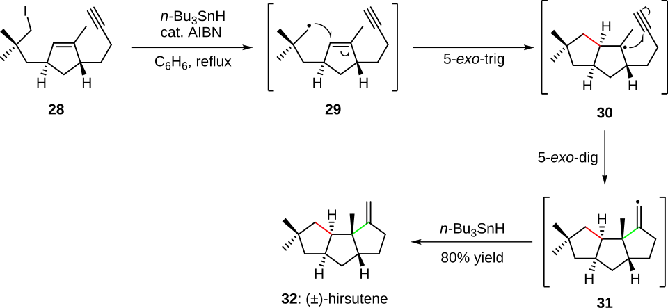 Scheme 6. Cascade
radical cyclization in the total synthesis of (±)-hirsutene