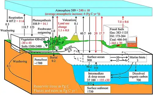 Simplified diagram of the global carbon cycle