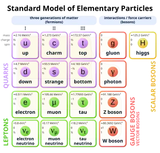 A table with four rows and four columns, with each cell containing a particle identifier